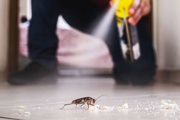 Best Pest Control Near Me in Columbia, CA